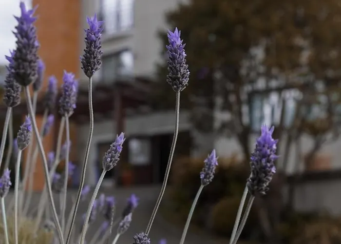 Hotel Gramado Interlaken